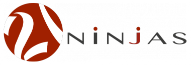 21ninjas